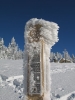 Winter-Impressionen aus dem Harz